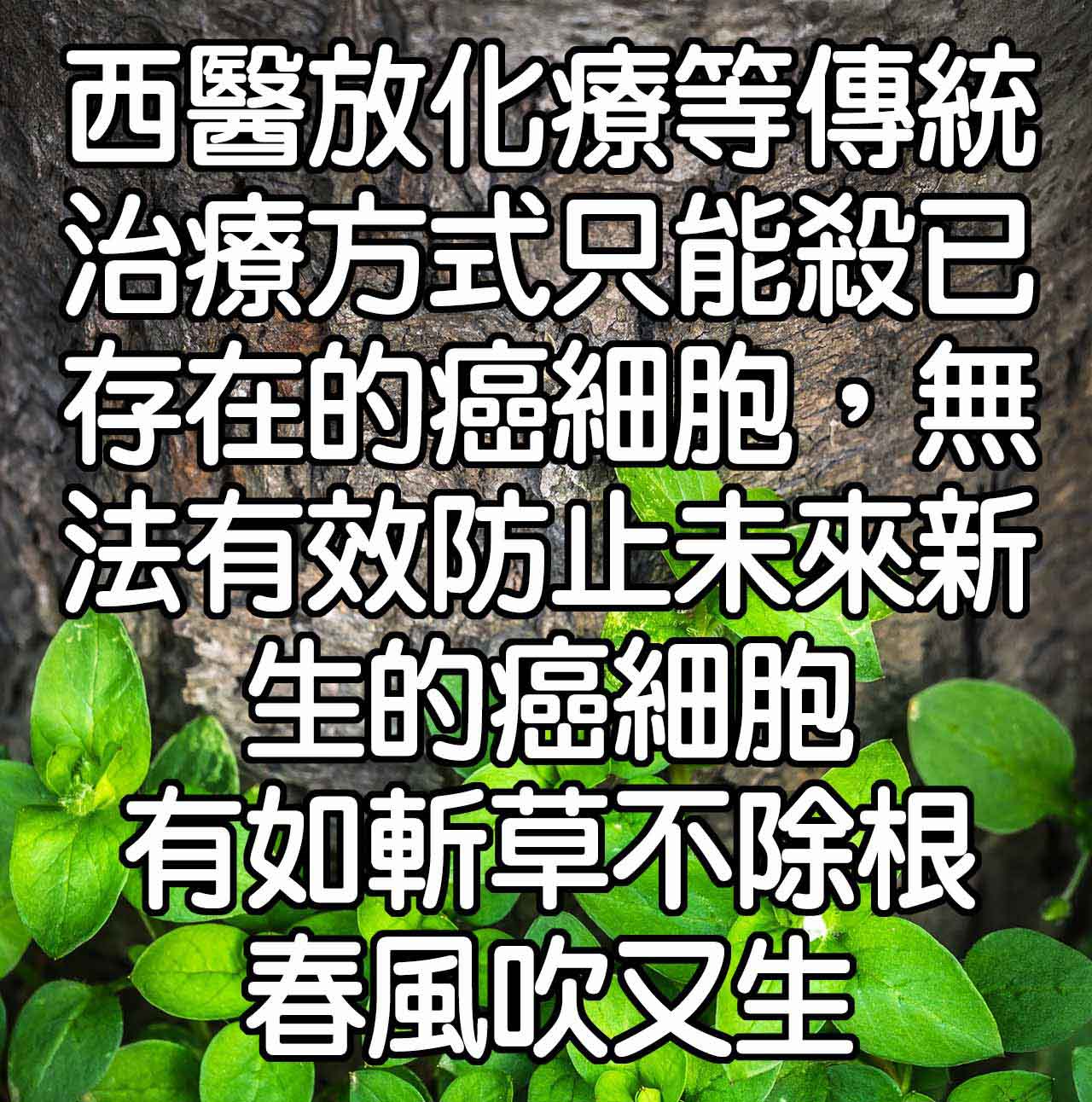 皮膚癌、骨癌治療